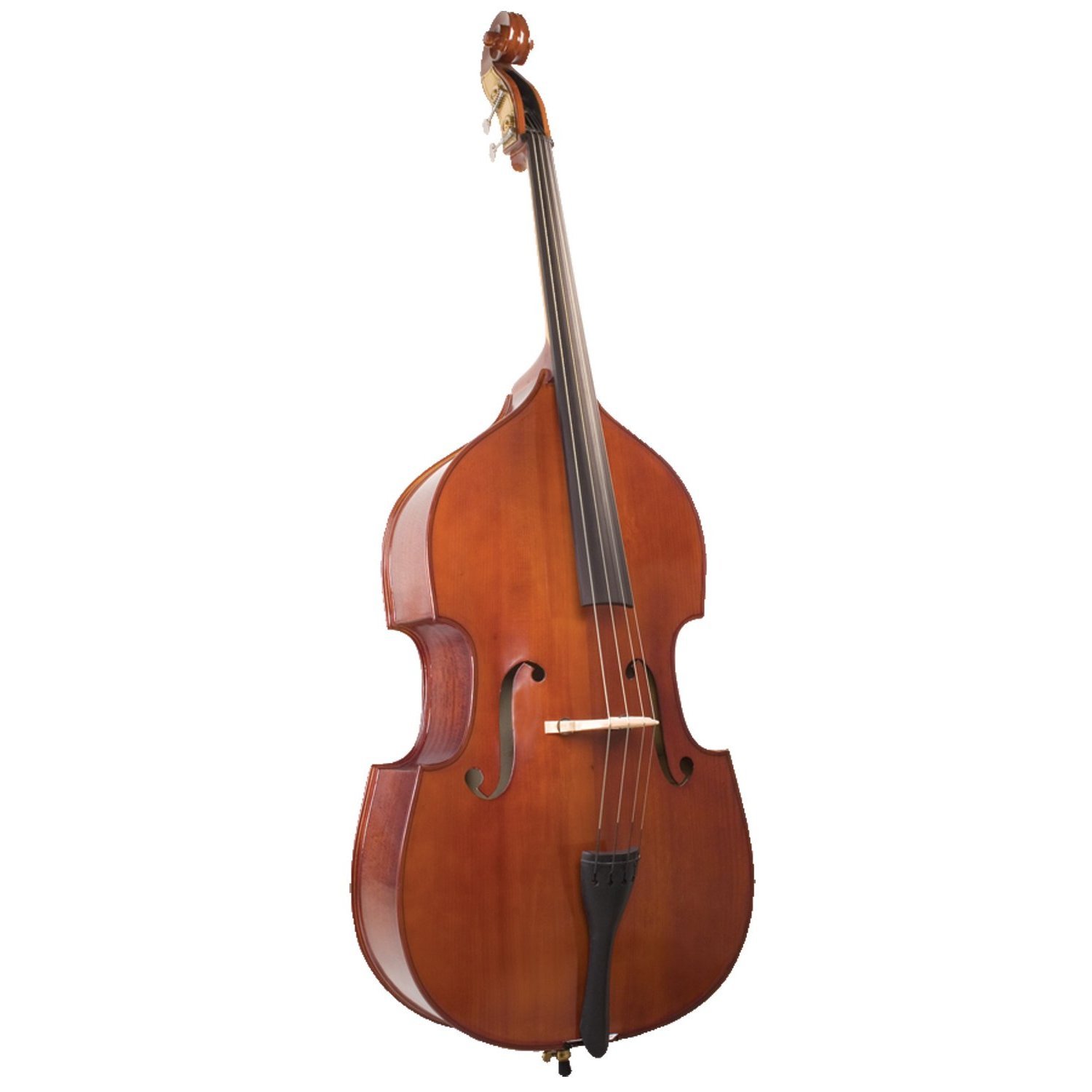Palatino 4 String Acoustic Upright Bass, Right (VB-029-3/4)