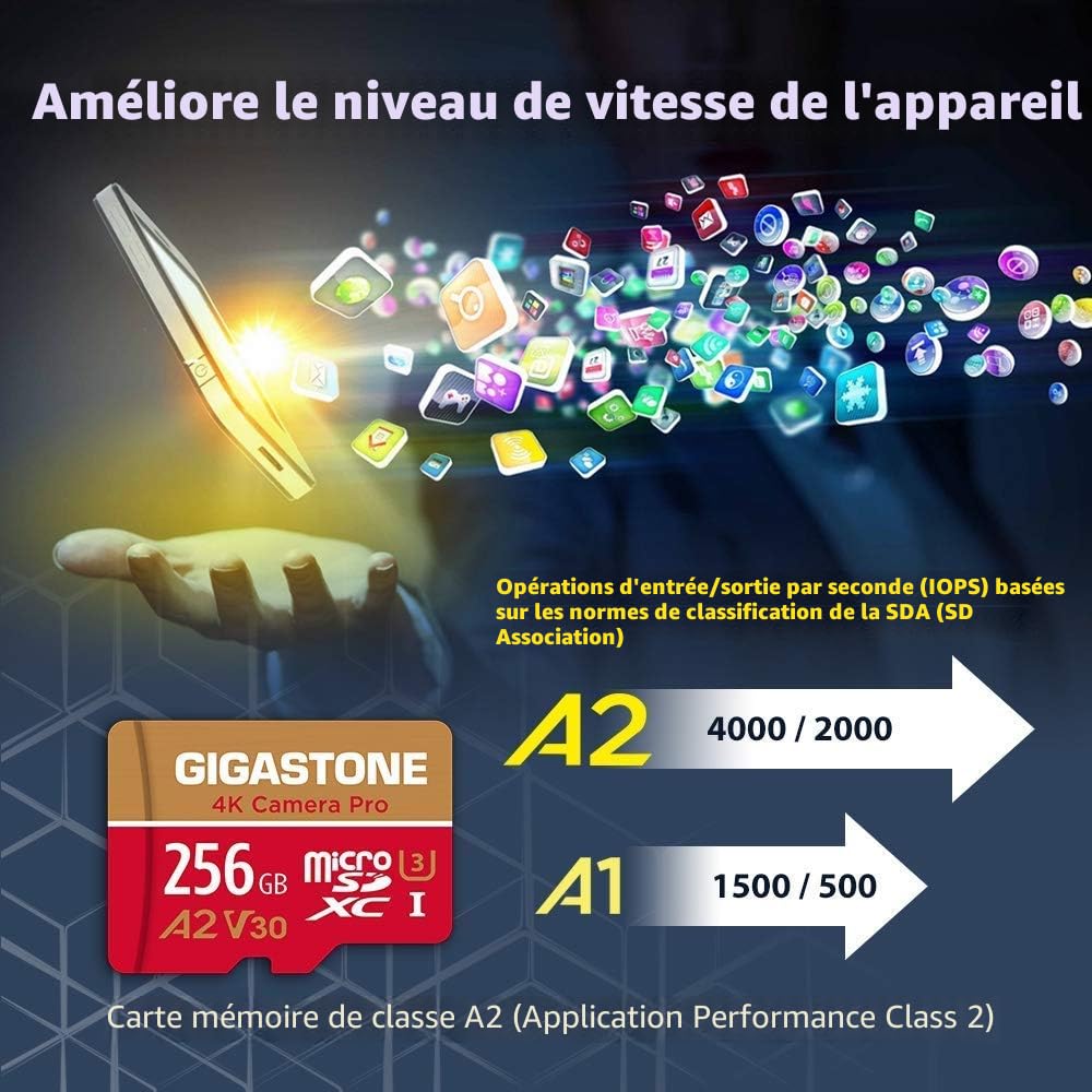 [5 Ans Récupération de données Gratuite] GIGASTONE Carte Mémoire 256 Go, 4K Camera Pro, Vitesse jusqu'à 100 Mo/s, pour GoPro, DJI, Drone, 4K Video A2 V30 U3 MicroSDXC avec Adaptateur