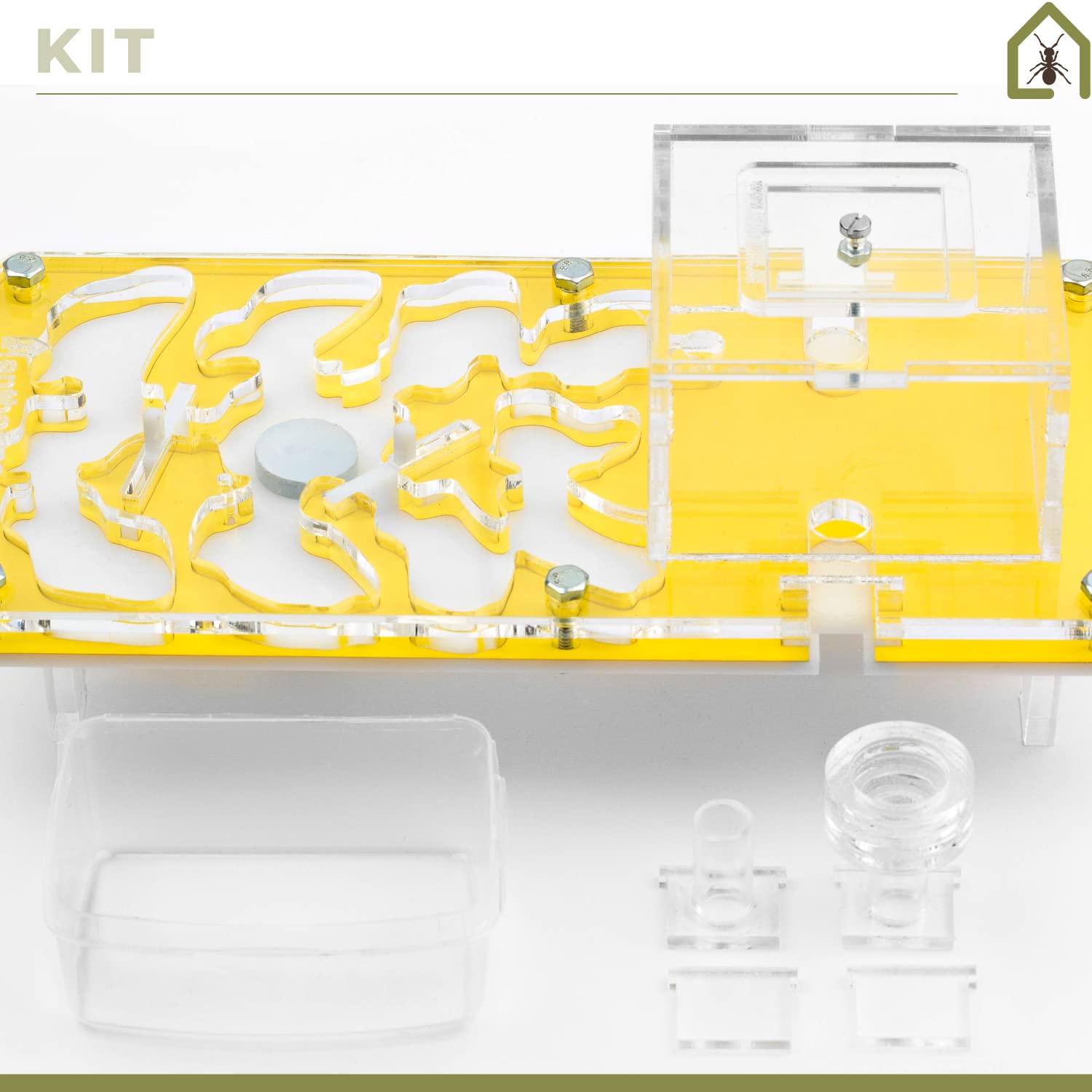 AntHouse.es - Hormiguero Acrílico - Kit Educativo Seta 10x20x1,3 cm - Amarillo - Hormigas Incluidas