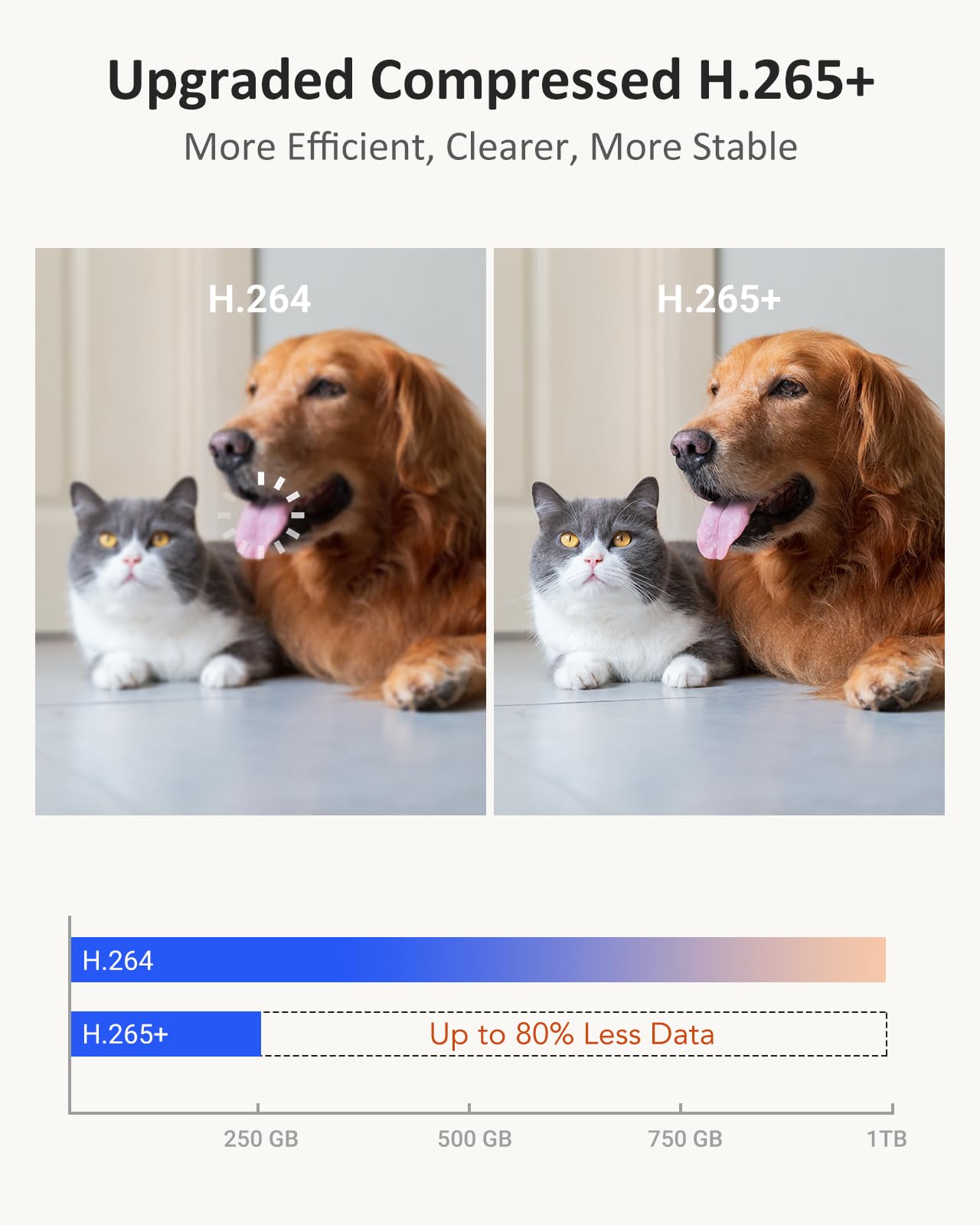 ANNKE 4K(8MP) Caméra Surveillance WiFi Intérieur, 360° Suivi Auto, Sécurité Bébé/Chien/Animaux avec App, WiFi 6 Bi-Bande 2,4/5GHz, Détection IA Humaine, Audio 2-Voies, Compatible Alexa