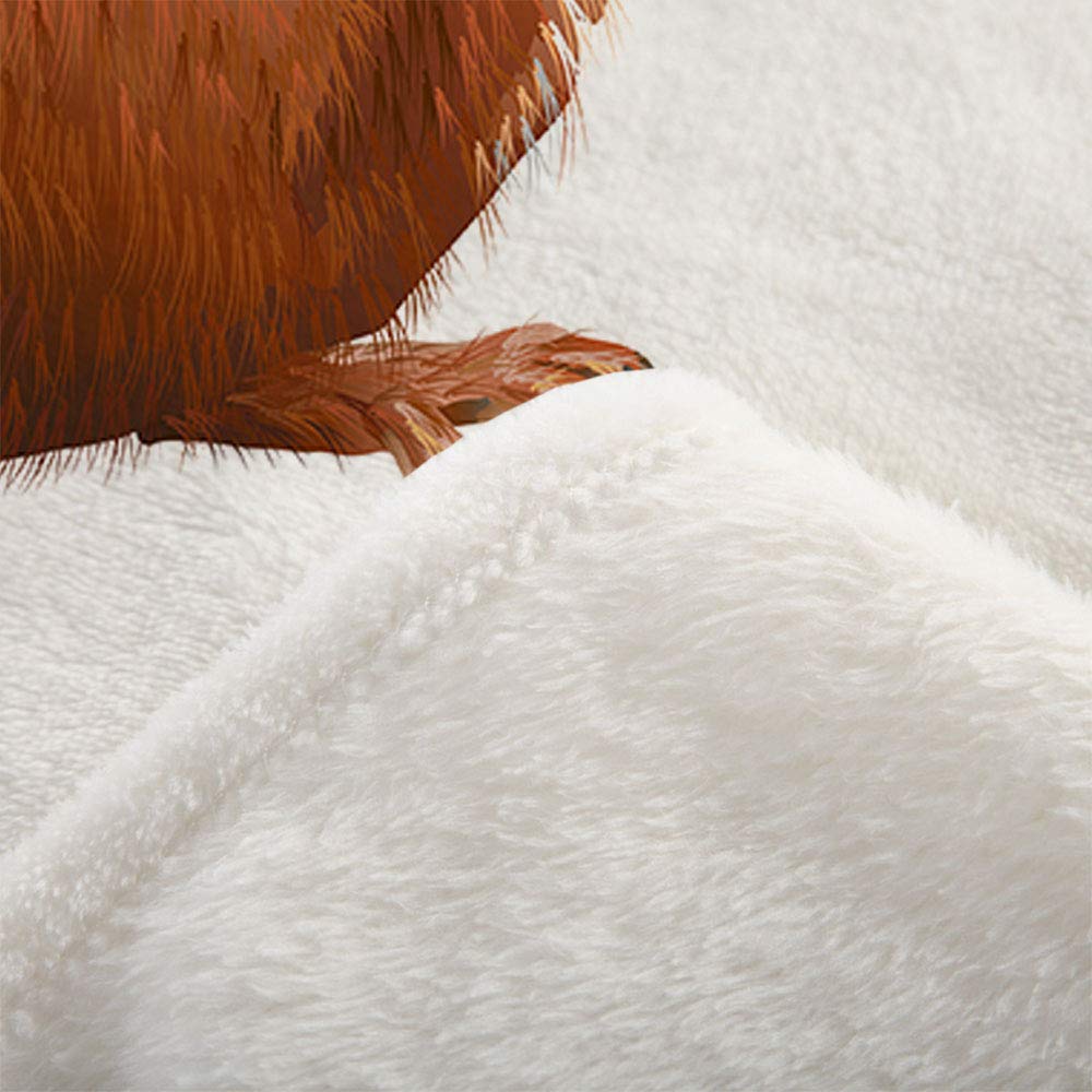 Amazon.co.jp: Mugod リス スローブランケット リトルキュート