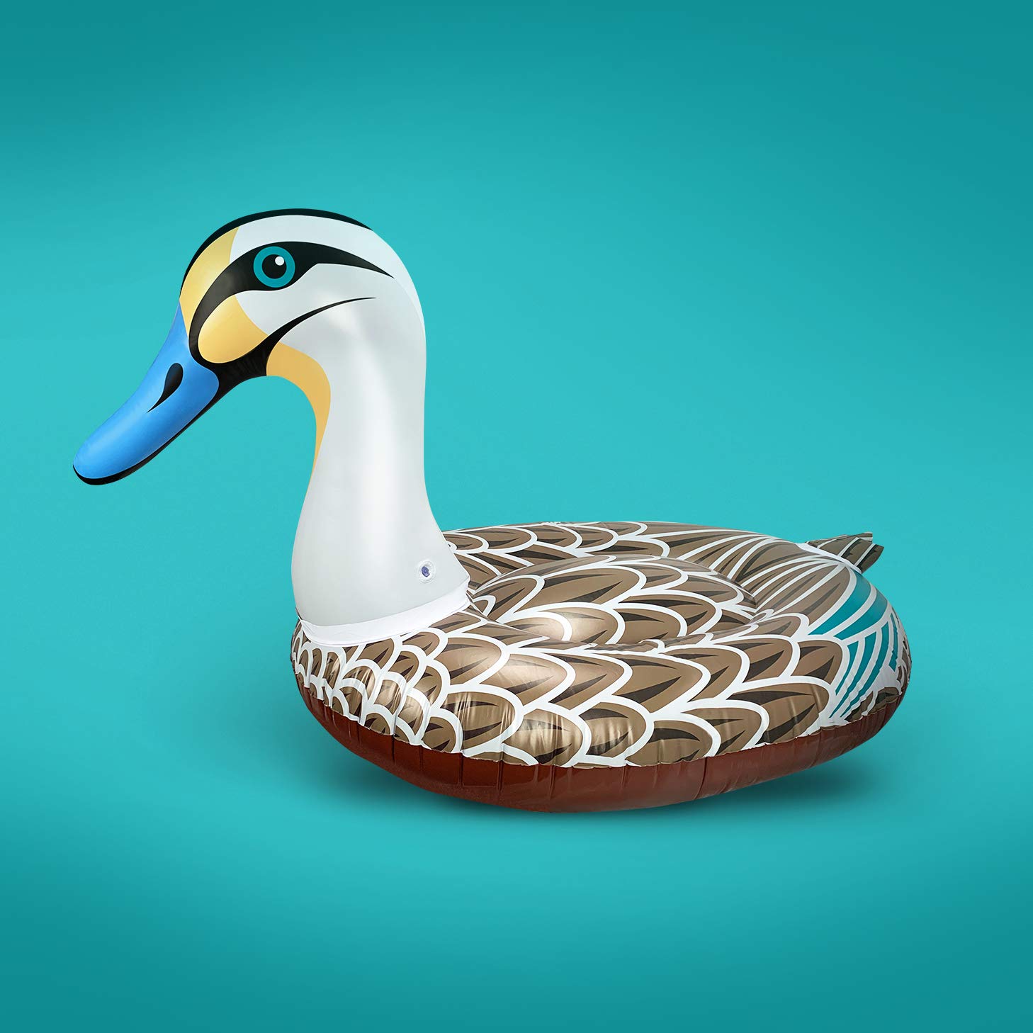 Pacific Black Duck Pool Float Take Like A Duck To Water With Our Fun Bold Creative Local Australian Designs Suitable For Adults And Kids Amazon Com Au Toys Games