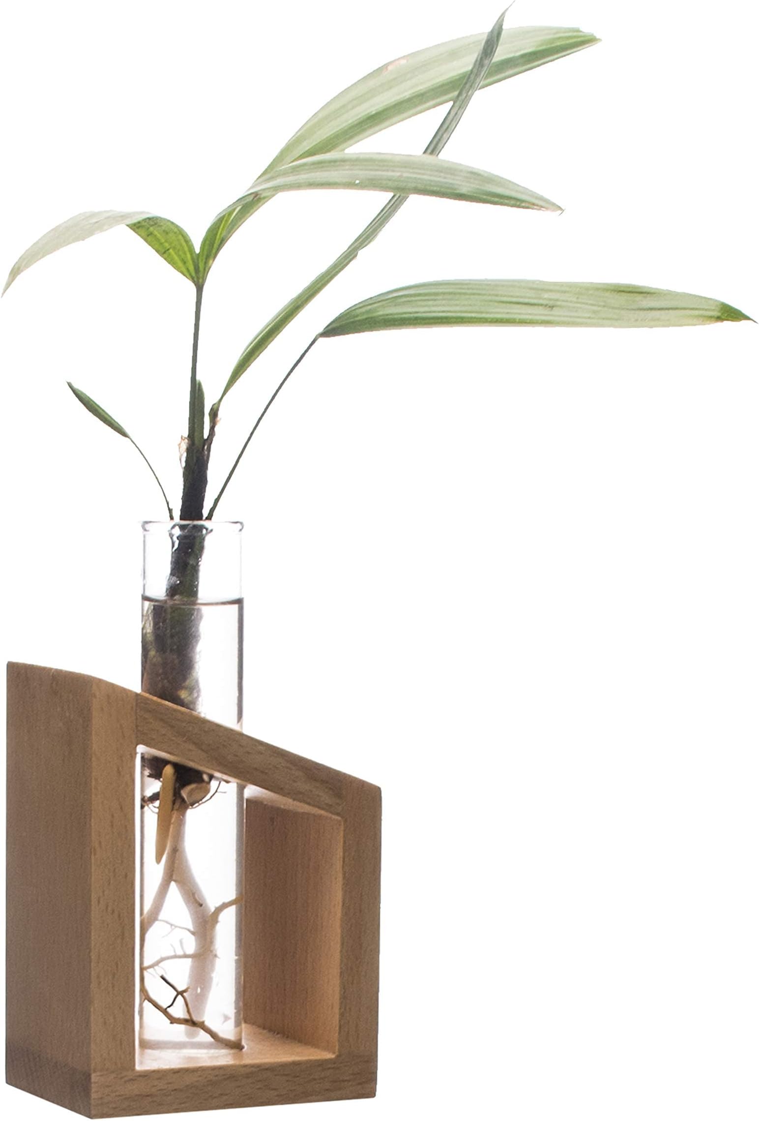 Home - Flower Vase in a Artistic Wooden Stand with 3.3 Borosilicate Glass Tube, Pack of 1