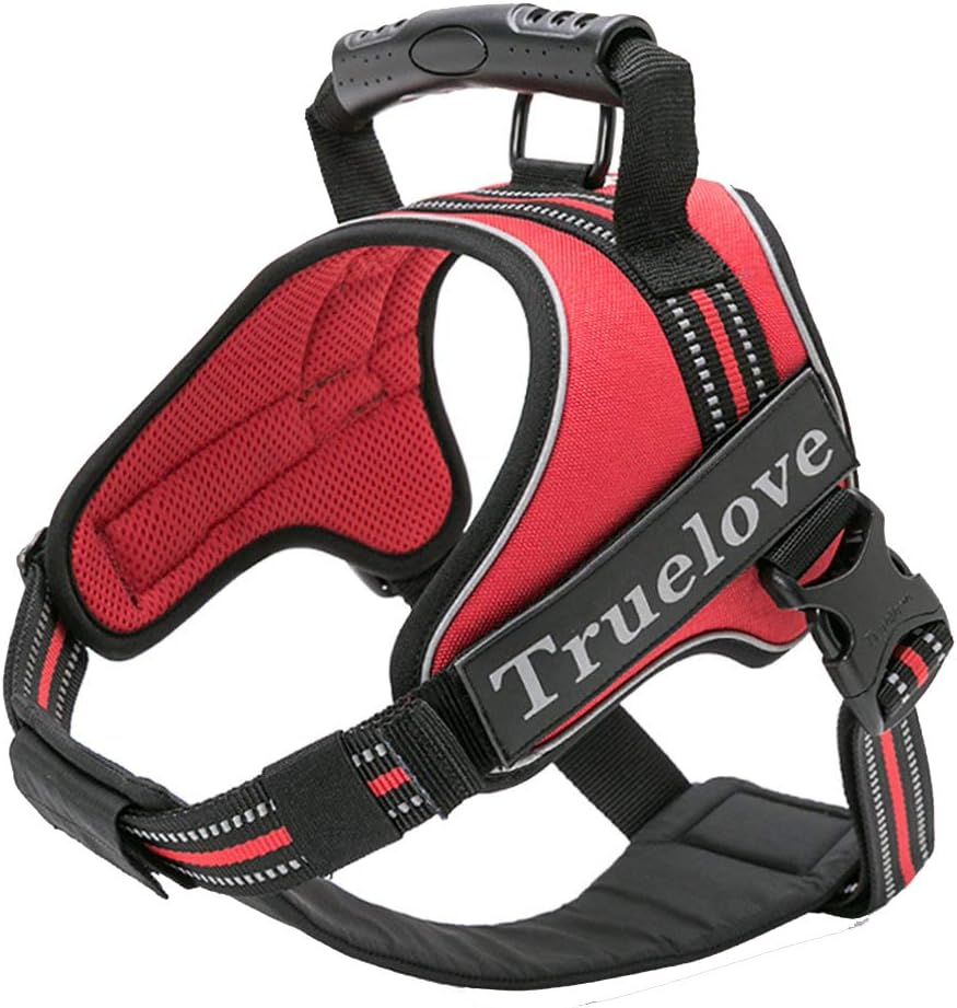 truelove harness amazon