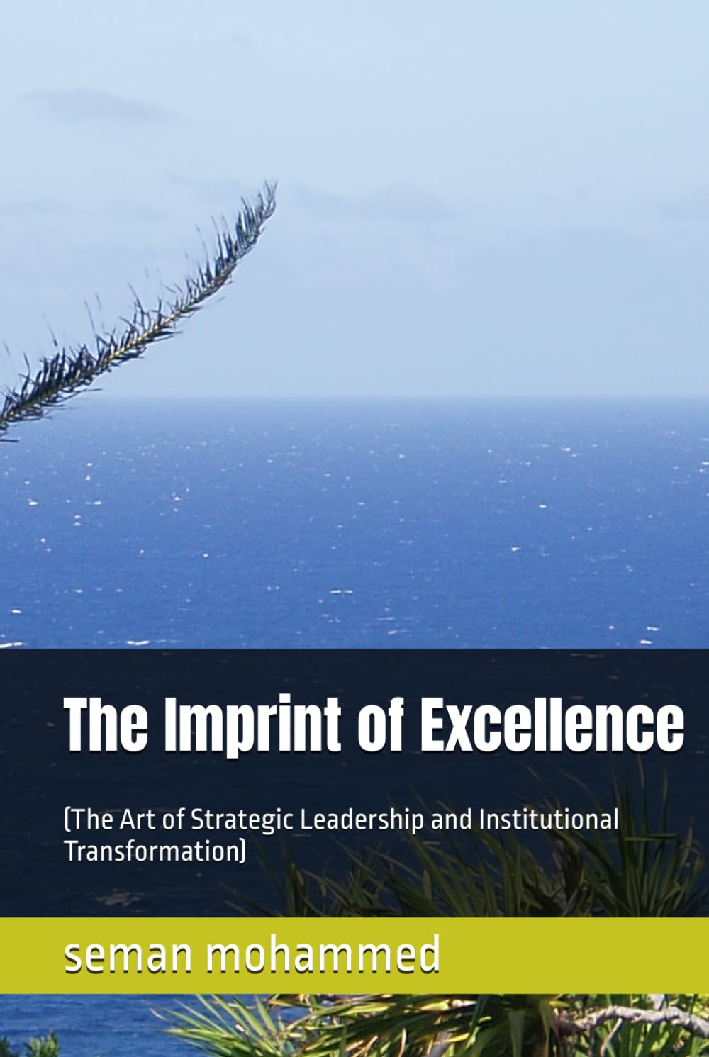 The Imprint of Excellence: (The Art of Strategic Leadership and Institutional Transformation)