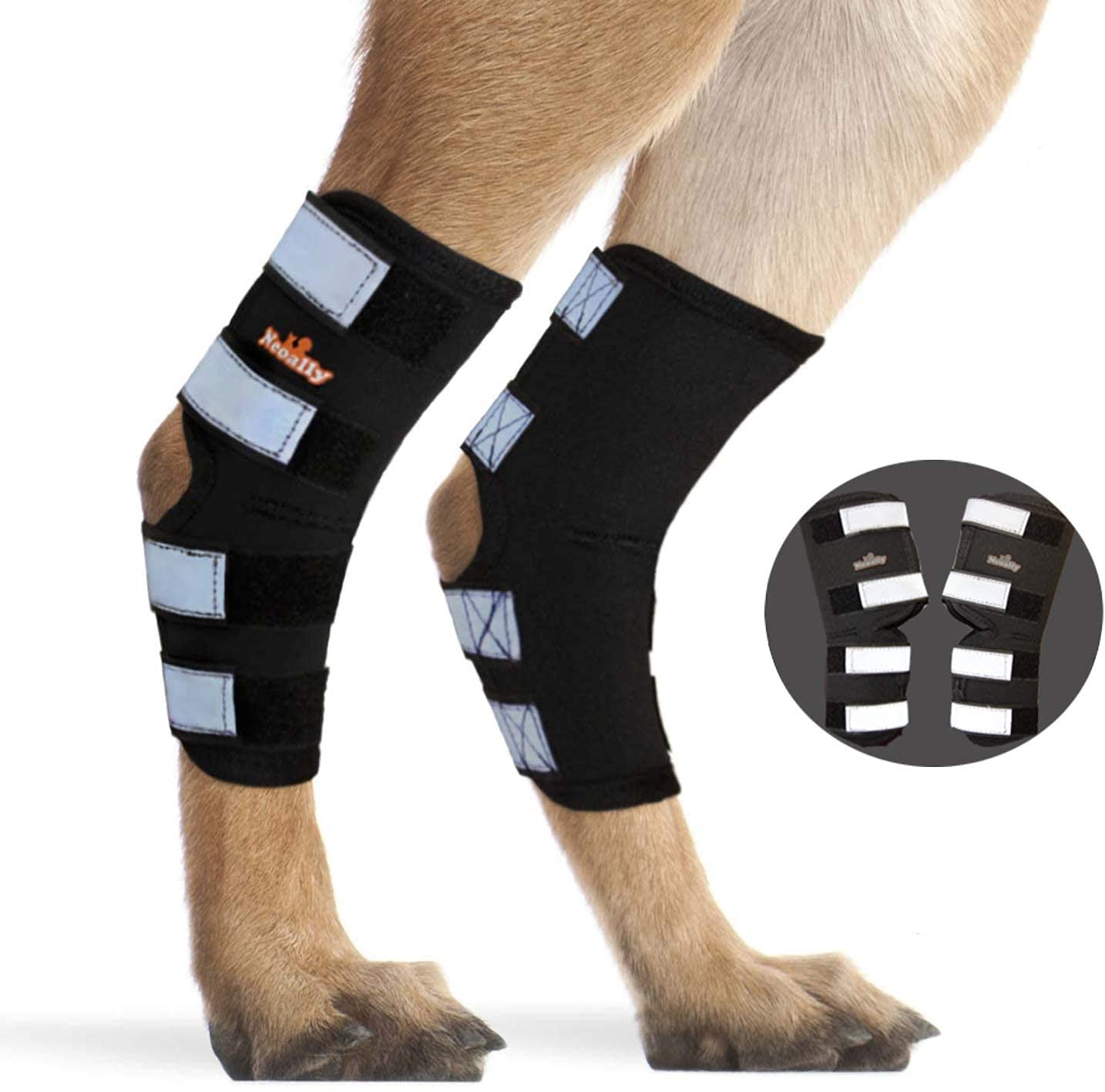 Buy NeoAlly Pair Dog Rear Leg Brace Canine Rear Hock Joint Support with