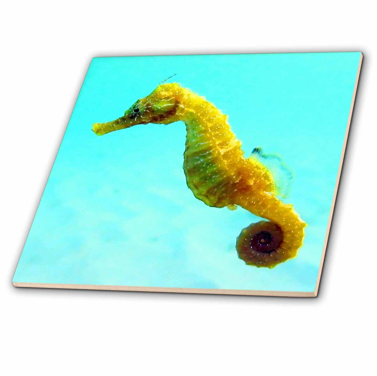 Carreaux seahorse 3dRose céramique 15,2 cm faïence murale