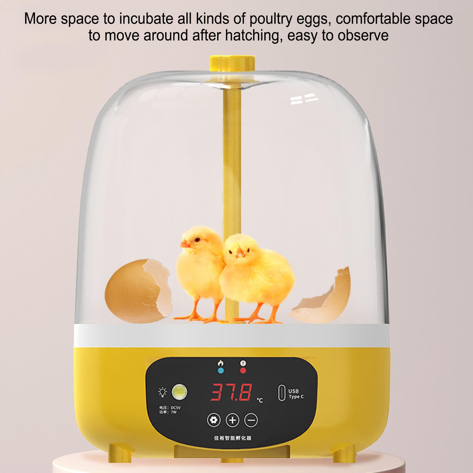 Acouto Mini Incubadora de Pollo, 6 Huevos Máquina de Eclosión de Aves de Corral con Automático de Huevos, Incubadoras Digitales de Control de Temperatura (automático)