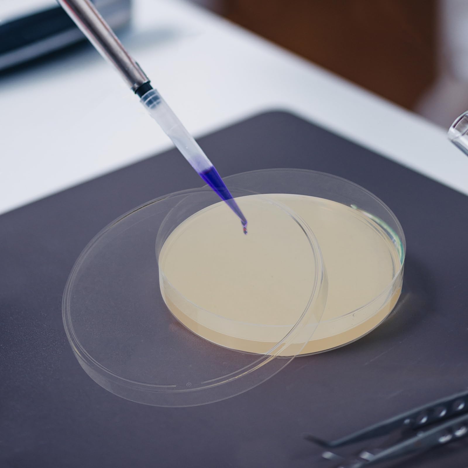 UKCOCO Placas De Agar Desechables Envasado Al Vacío 3.54X3.54X0.59In Medios De Cultivo Para Proyectos Científicos Y Laboratorios - 10 Unidades