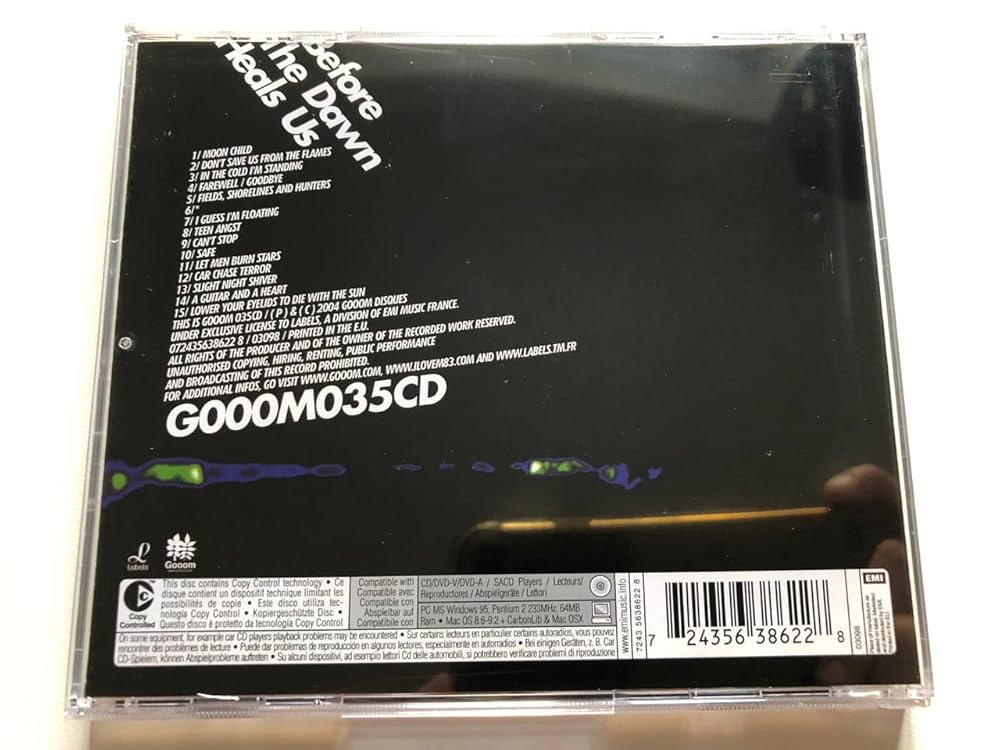 Amazon.co.jp: Before the Dawn Heals Us: ミュージック