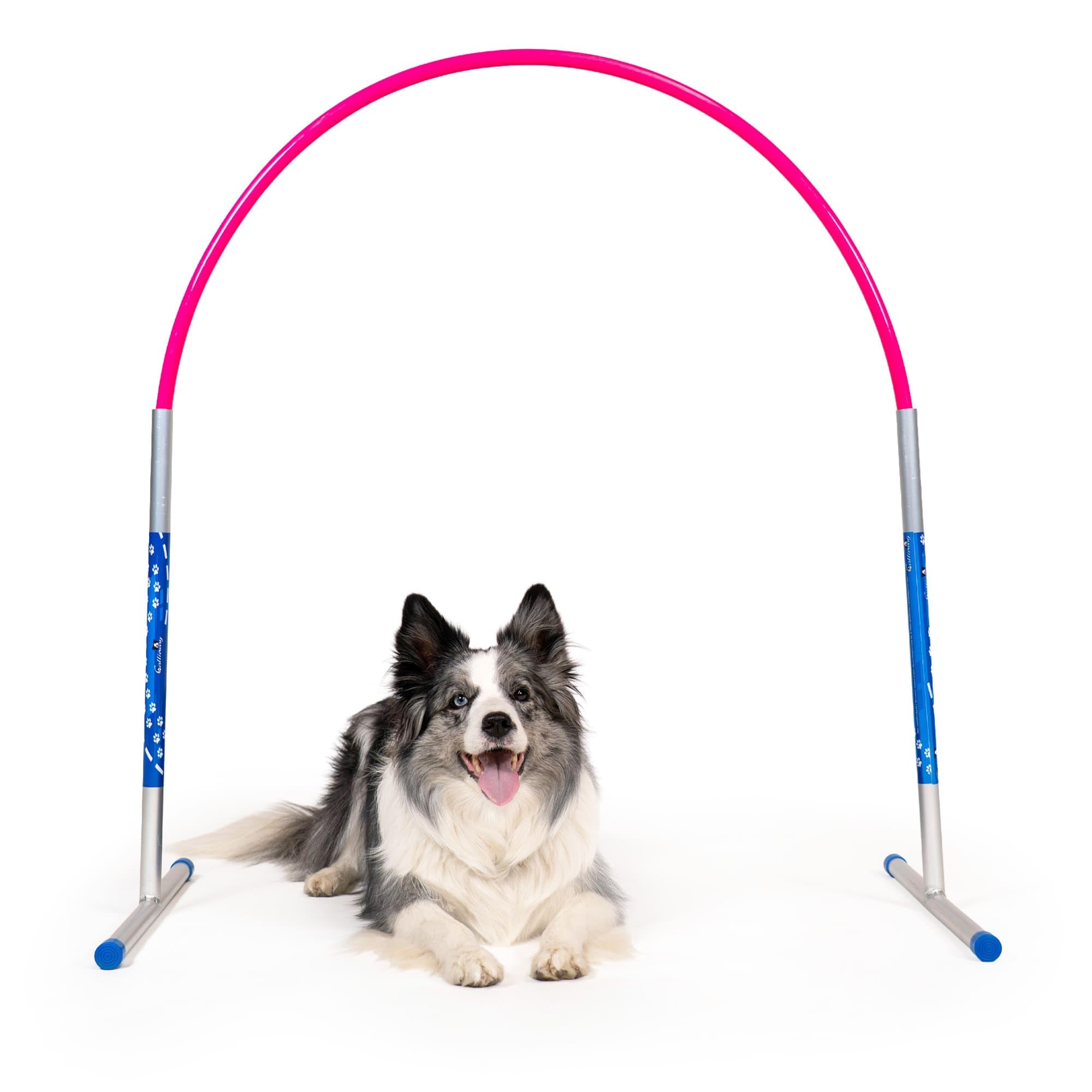 Callieway Hoopers Agility Hoops aus Aluminium, 6er Set ohne Mittelstrebe, frei formbar & universell verstellbar, VDH & NADAC konform