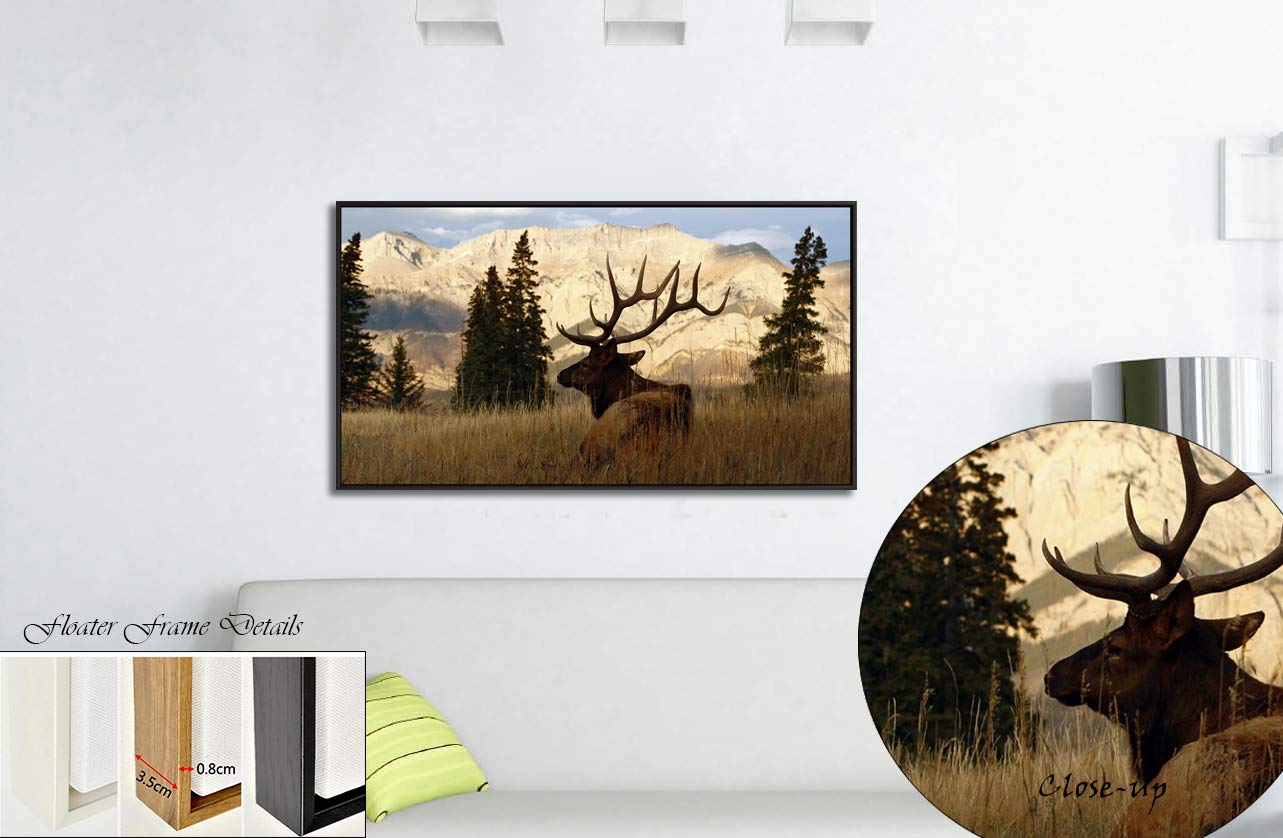 Amazon.co.jp: VVOVV 壁装飾 - 秋の森の鹿 絵画 ジークレープリント