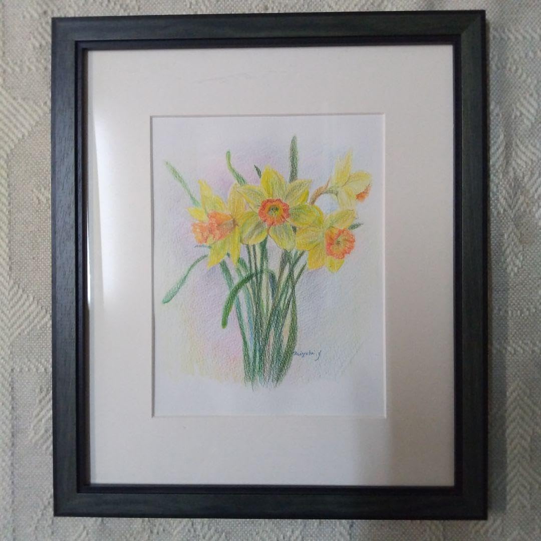 Amazon.co.jp: 画家保田三友紀の色鉛筆画「ラッパ水仙」F3号額縁