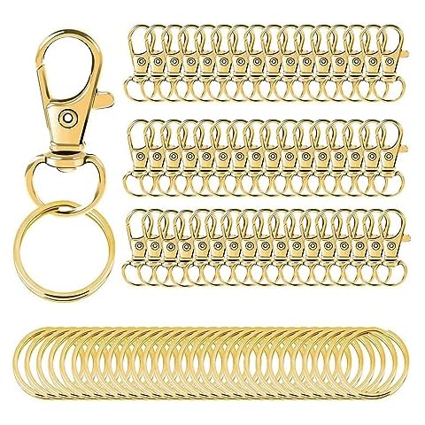 Mousquetons XPEX 100Pcs Cover