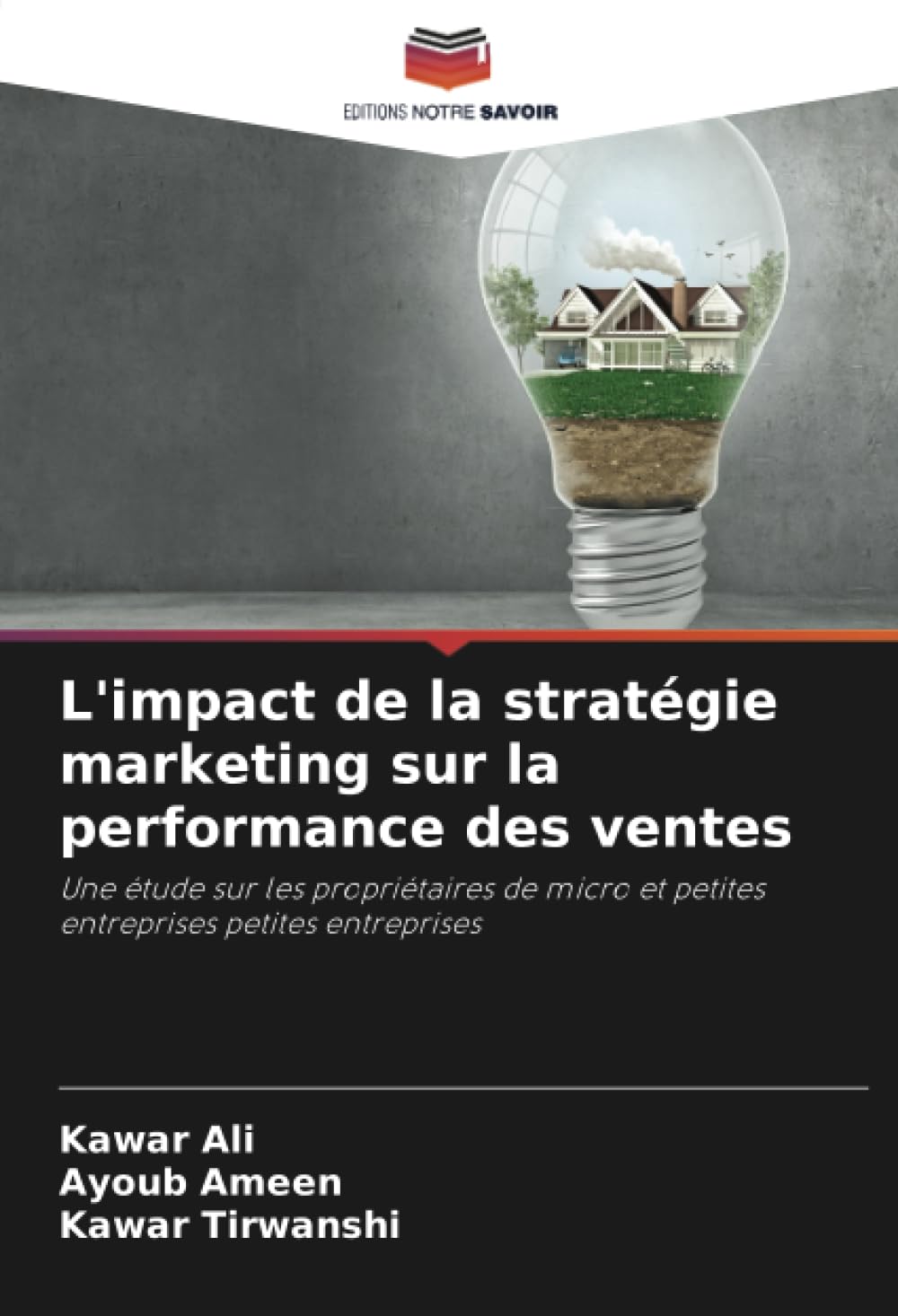 L'impact de la stratégie marketing sur la performance des ventes: Une étude sur les propriétaires de micro et petites entreprises petites entreprises