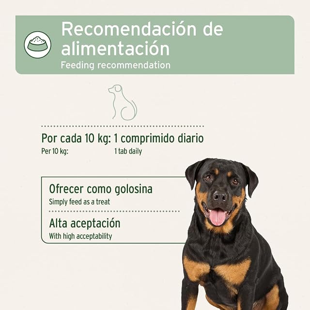 Foto 5 de 7 de AniForte AgilityVET para Perros con Polvo de mejillón de Labios Verdes, harpagófito y colágeno…