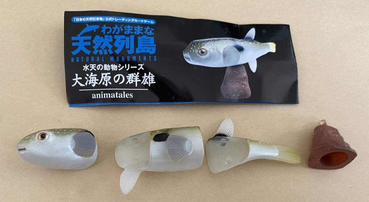 Amazon | わがままな天然列島 海洋堂 フィギュア 大海原の群雄 R0008