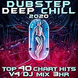 Chinese Boxing (Dubstep Deep Chill 2020, Vol. 4 Dj Mixed)