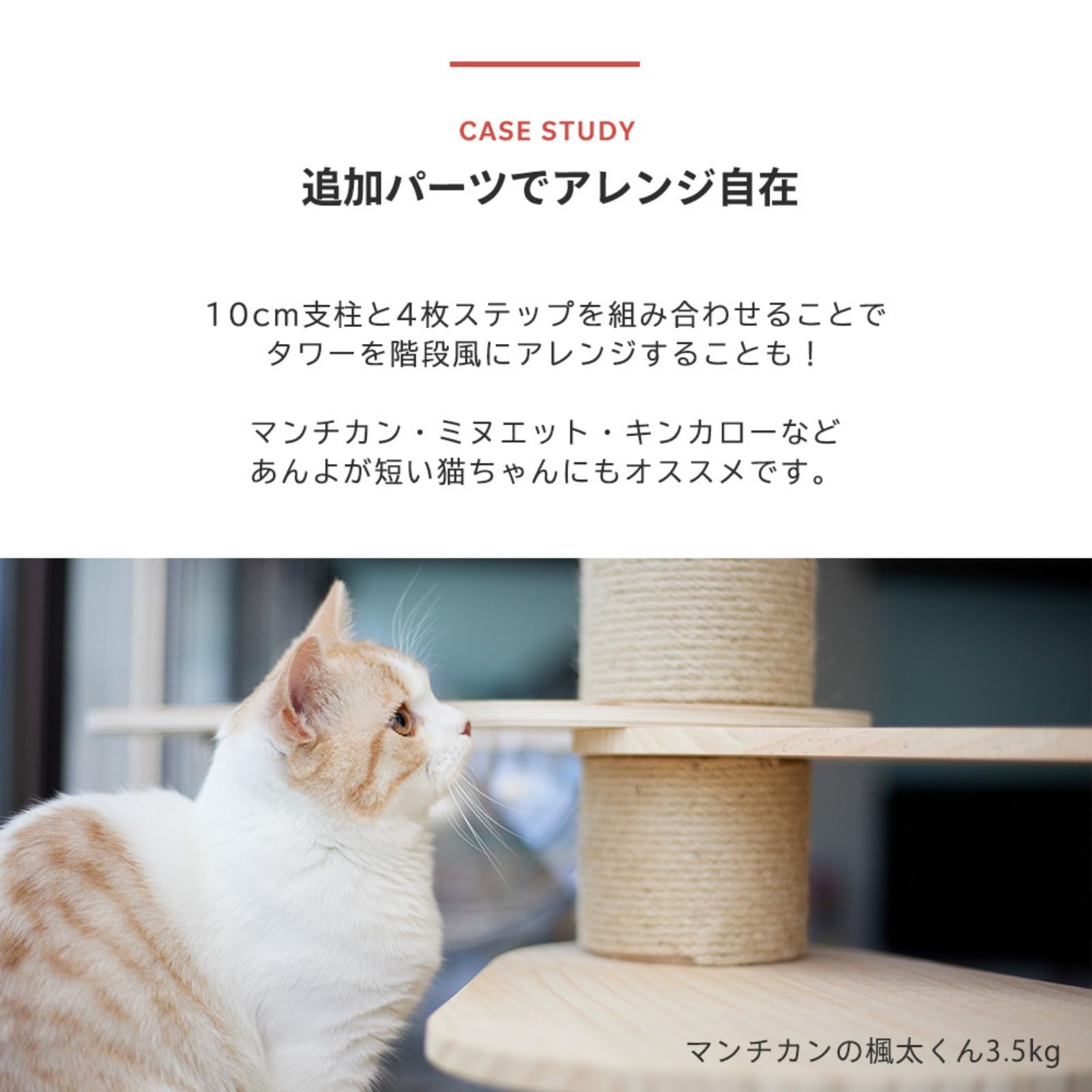 Amazon | [SUMIKA 突っ張り 型 木製 キャットタワー 専用 10センチ支柱