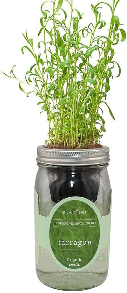 Hydroponic Herb Growing Kit, Self-Watering Mason Jar Herb Garden Starter Kit Indoor, Grow Your Own Herbs from Seeds (Peppermint)