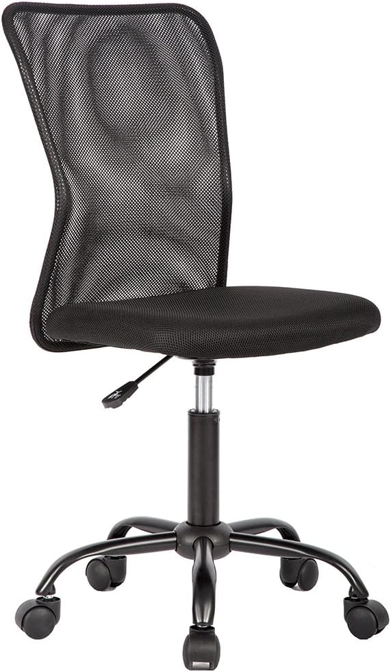 FDW BestMassage Office Chair Cheap Desk Chair Mesh Computer Chair with Lumbar Support No Arms Swivel Rolling Executive Chair for Back Pain,Black 1 Pack