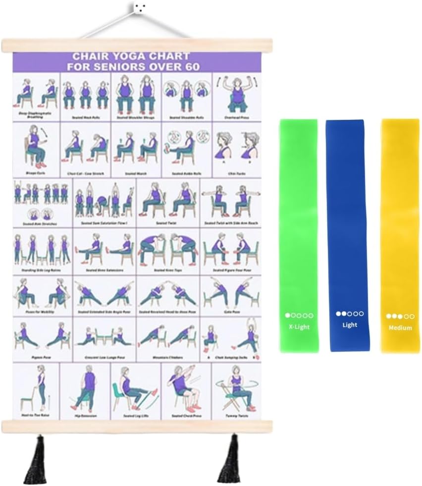 DLOLENTN Chair Tai Chi Workout Chart 40 x 60 cm with Resistance Bands | 40 x 60 cm oil canvas poster with pine wood frame, illustrated movements and 3 resistance bands for home workouts