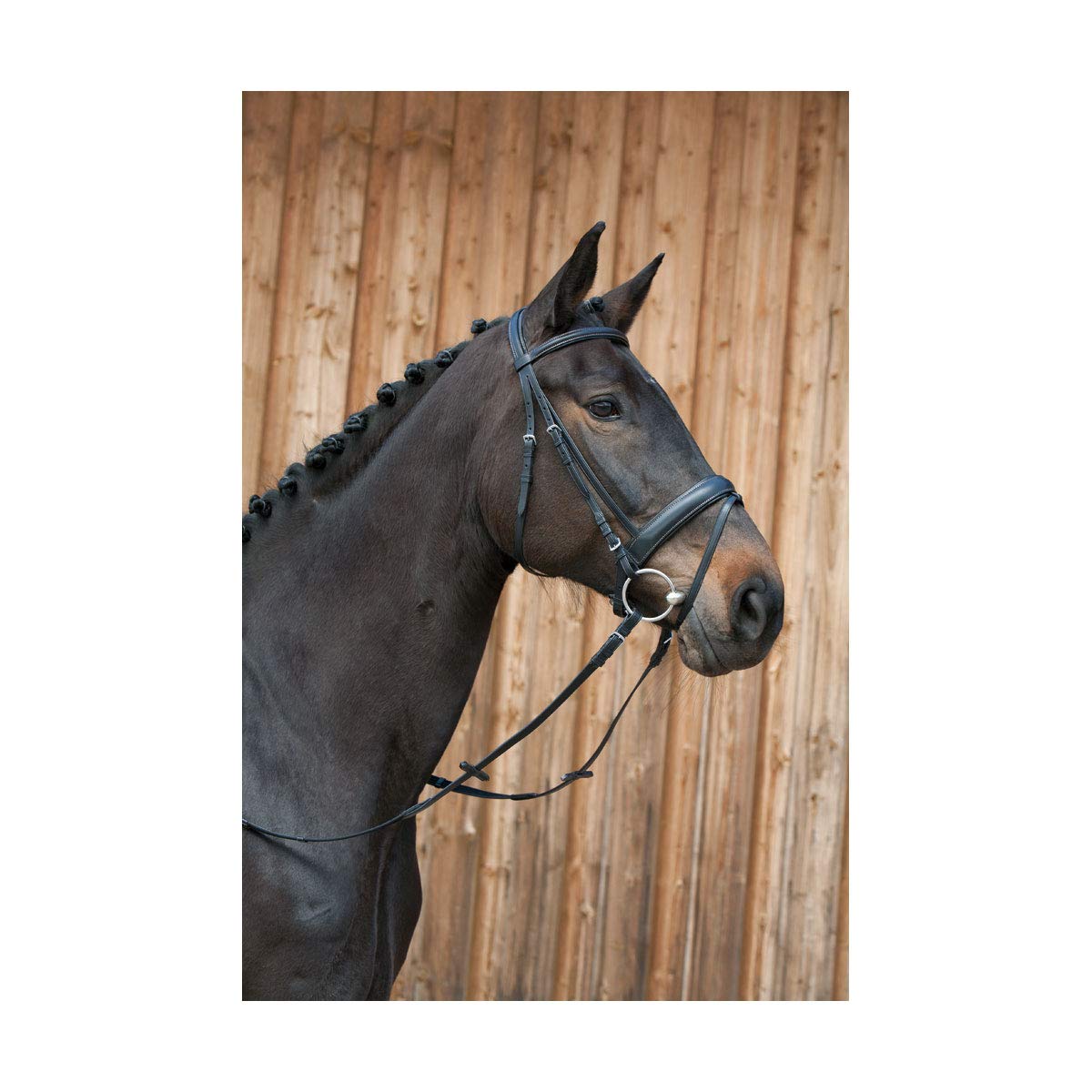 Kieffer Line LII - Cabezada Unisex Adulto
