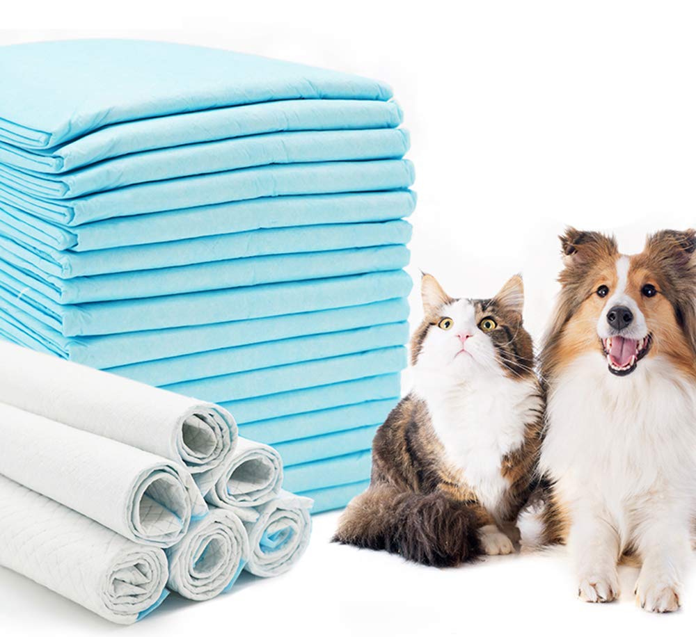 BPS Training Pads for Puppies Puppy Pads Super Absorbent Puppy Pad Pads for Dog Training Puppy Training (80 Pieces 56 x 56 cm) BPS-2193 x 2