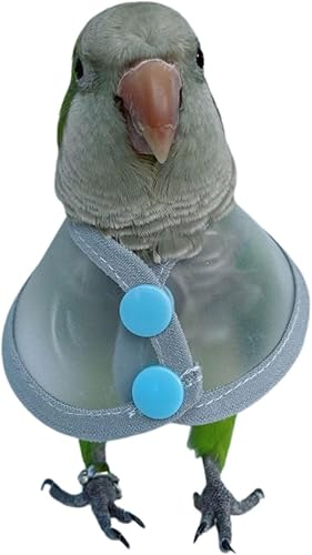 Pet Parrot - Collar antimordeduras, antiagarre, lamer plumas, curación de heridas, cubierta práctica para el cuello, collares de recuperación para
