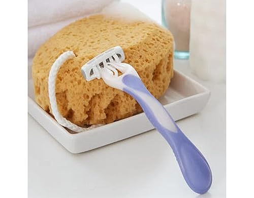 Miniatura 5 de Schick Quattro - Desechable piel sensible para mujer, 3 unidades (paquete de 1)