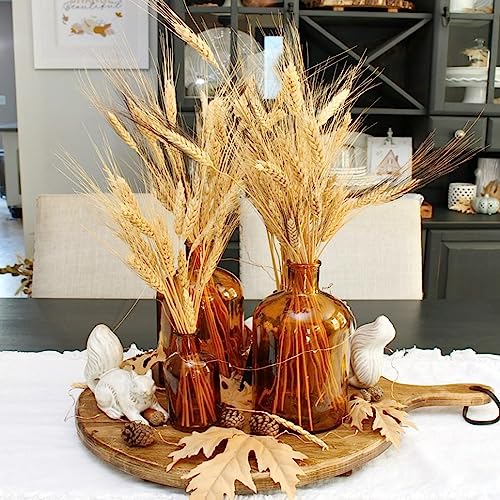 300 tallos secos de trigo para decoración 16 pulgadas miniatura 3