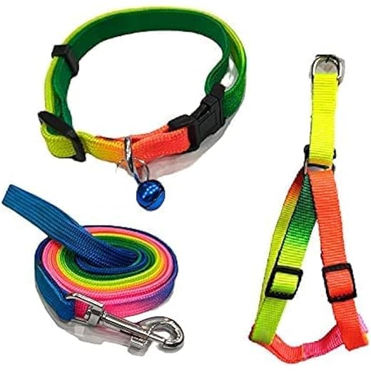 Dog Trust Adjustable Nylon Puppy Leash Combo 15 mm