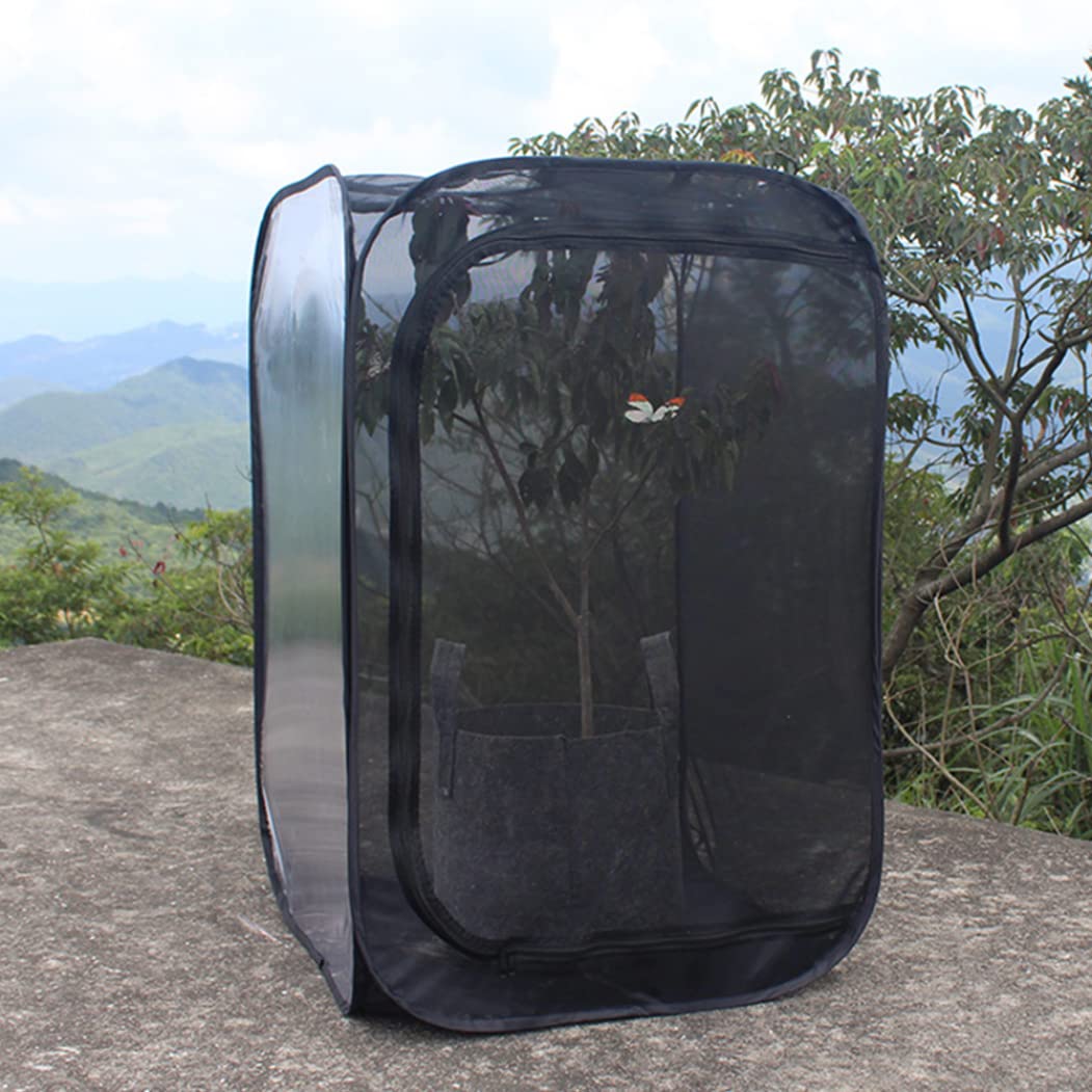 Stick Insect Enclosure Collapsible Butterfly Cage Transparent Insect Cage Net Portable Caterp illar Butterfly Habitat for Butterflies Insects Raising - 4