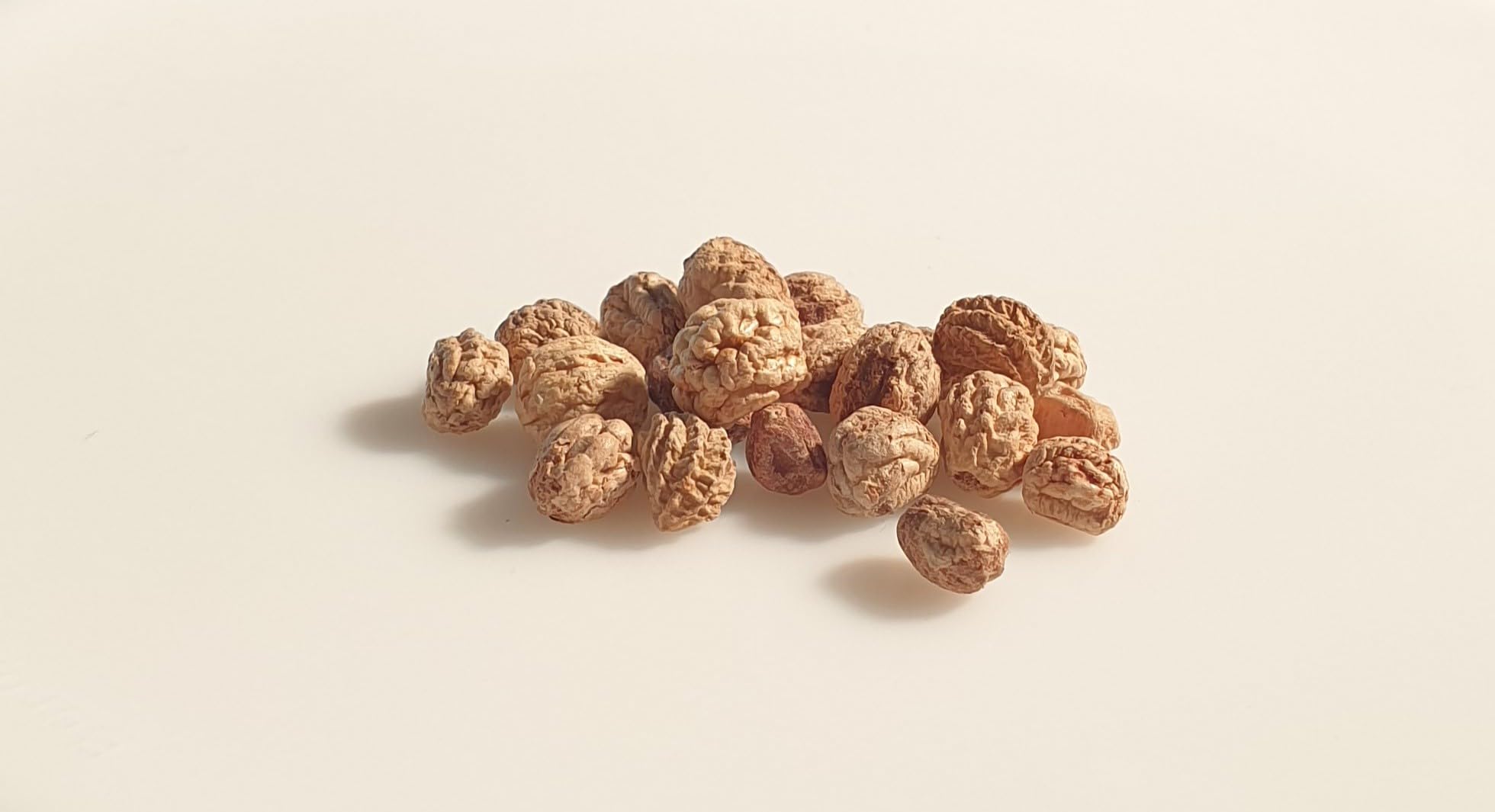 50 Graines Av Fleurs à Semer - Le Grenier D'Abondance - MAIS Doux Sucré Landmark - Zea Mays