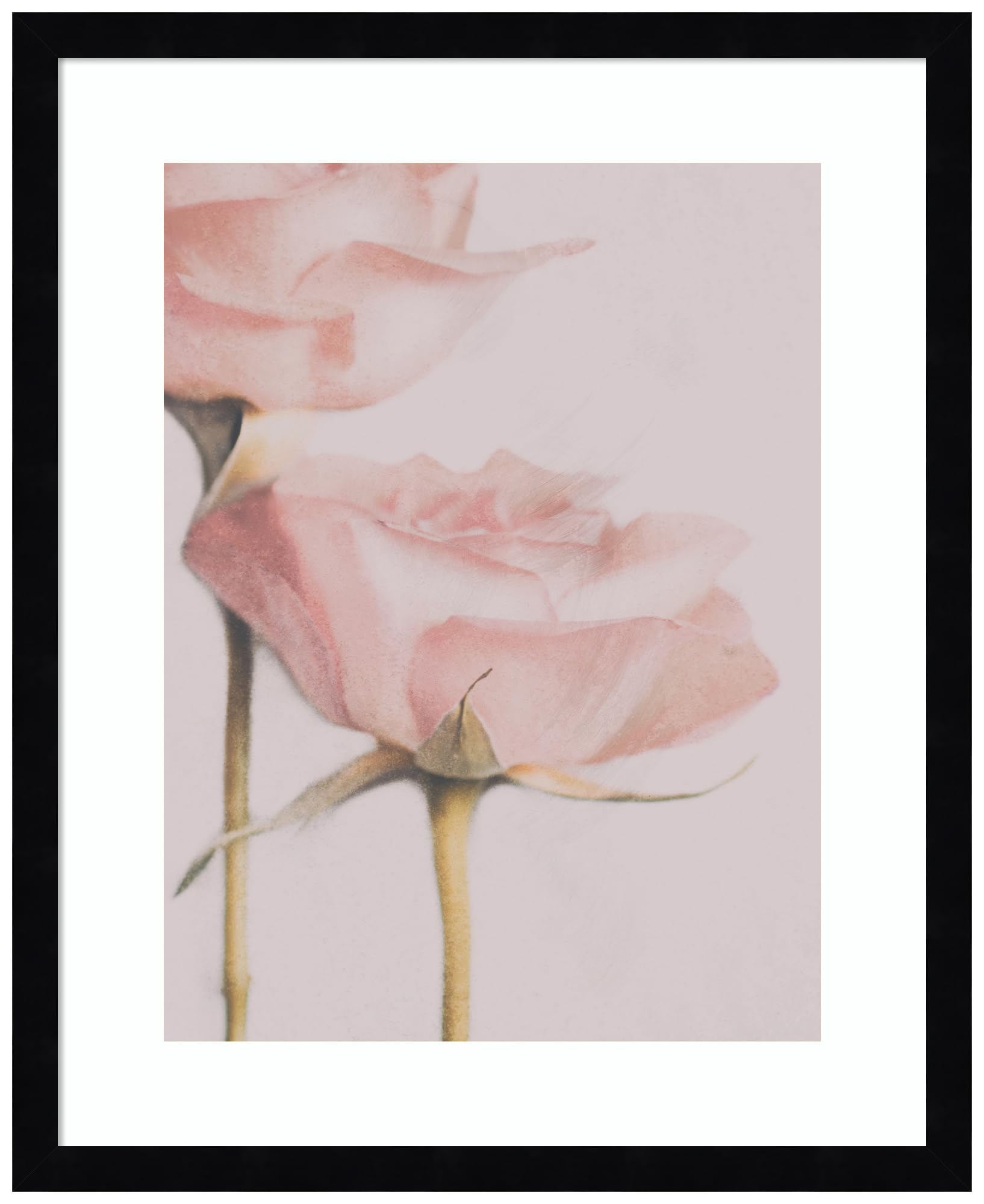 Amanti Art Framed Wall Art Print 21x17 Two Roses by Delphine Devos, Flowers Wall Art, Modern Contemporary Decor, Small Poster Painting Artwork for Living Room, Bedroom, Bathroom, Kitchen, Office or
