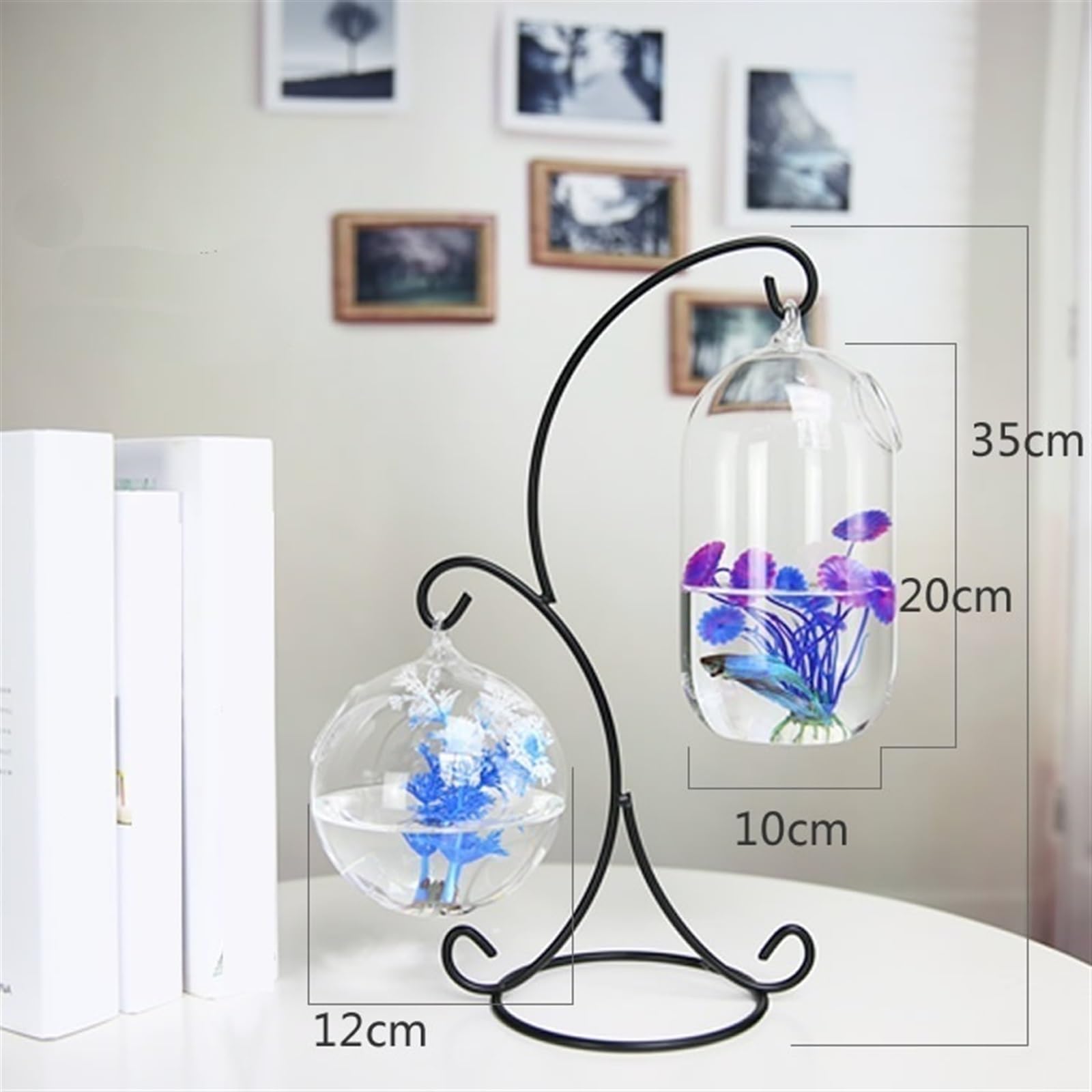 Lot de 2 petits aquariums à suspendre avec cadre en métal et verre