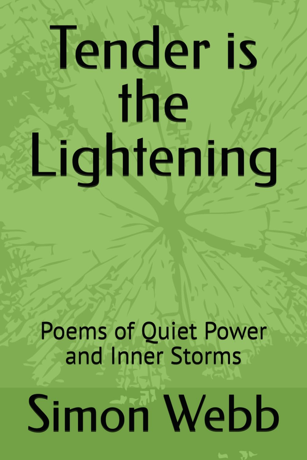 Tender is the Lightening: Poems of Quiet Power and Inner Storms