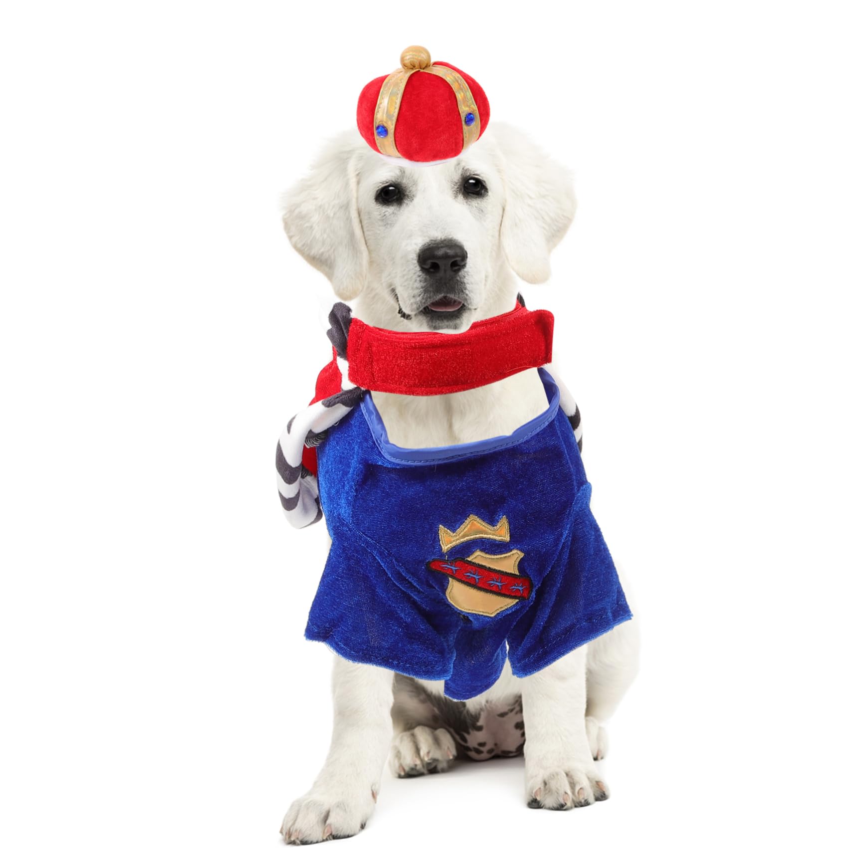Sosoport 2sets Costumi Per Cani Con Mantello e Cappello Abbigliamento Per Animali Domestici Comodo e Leggero Adatto Per Festività e Foto
