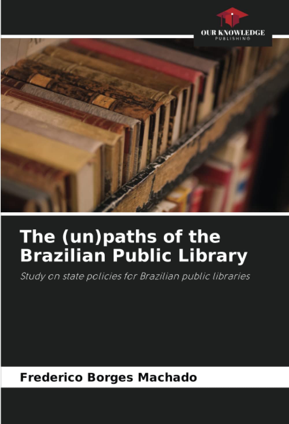 The (un)paths of the Brazilian Public Library