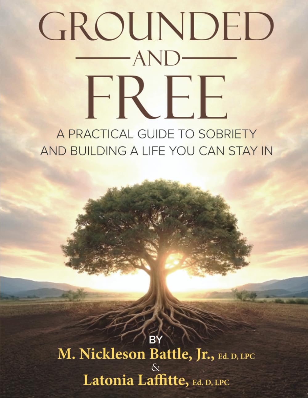 Grounded and Free a Practical Guide to Sobriety and Building a Life You Can Stay In