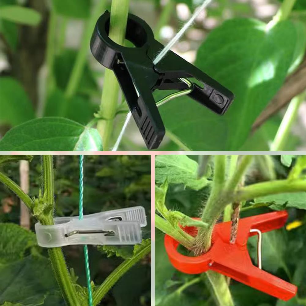Pflanzenstütz-Clips, wiederverwendbare Gartenclips, gesicherte Kunststoff-Pflanzenclips für Kletterpflanzen, Outdoor, Pflanzenbefestigungsclips, Tomatenklammern für Saitengitter, Rankenclips,