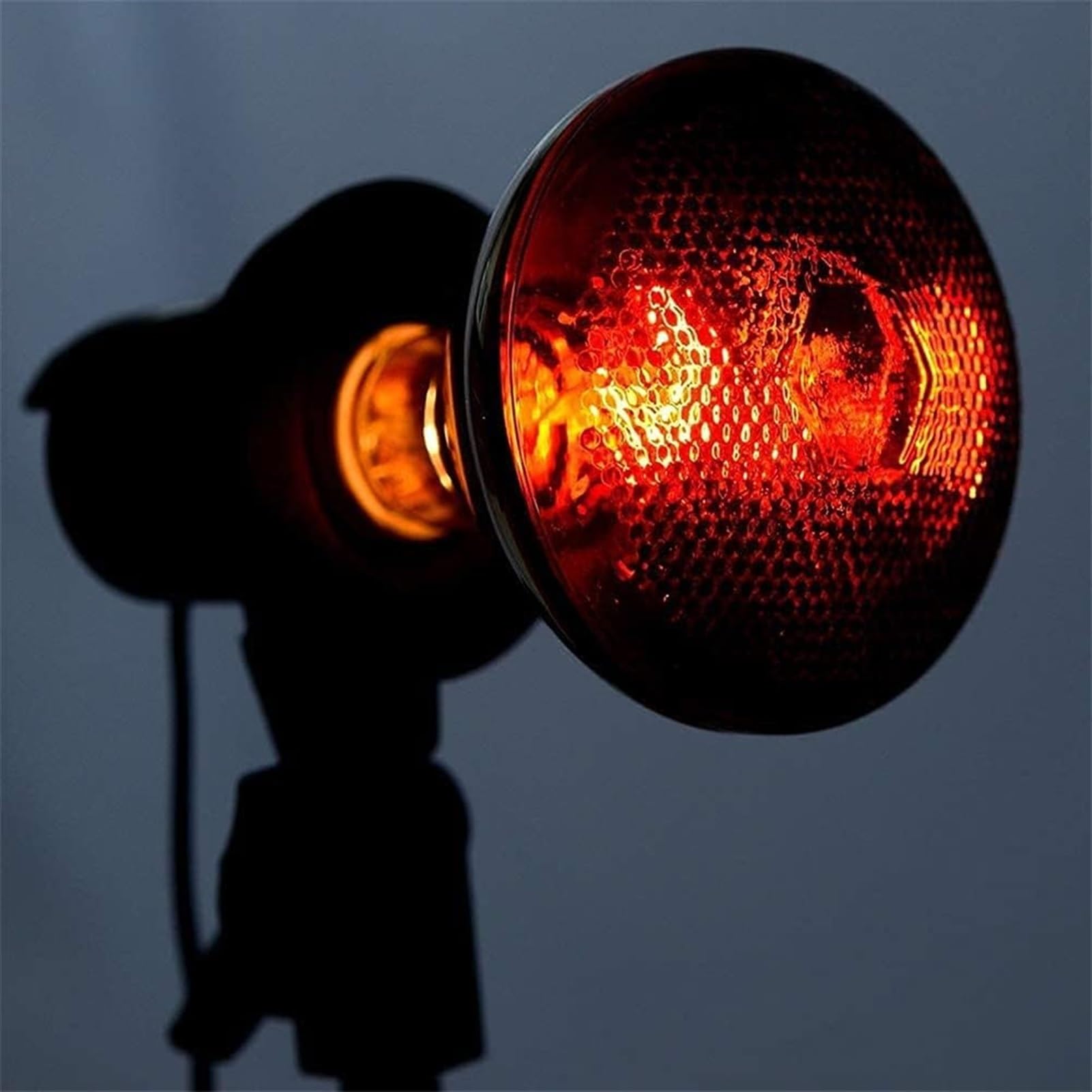 Lámpara de calor infrarroja Bombilla de lámpara de calor infrarroja for mascotas Lámpara de calefacción infrarroja de vidrio duro a prueba de explosiones for criadora de pollos Criadora de pollos Cale