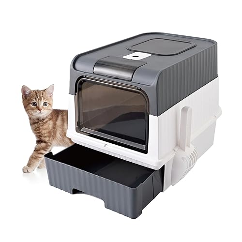 Revolutionary Kitty Go Here Litter Box for Happy Cats