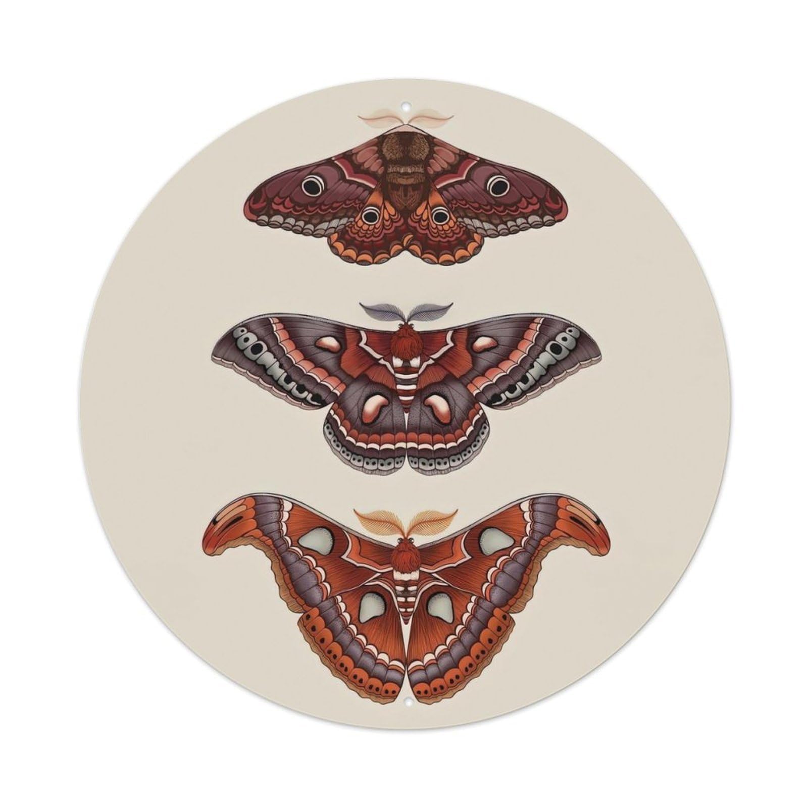 Insect Three Different Moths Vintage Metal Tin Sign Plaque Wall Decor for Cafe, Club Bar, Office, Garden Metal Poster 8x8Inch