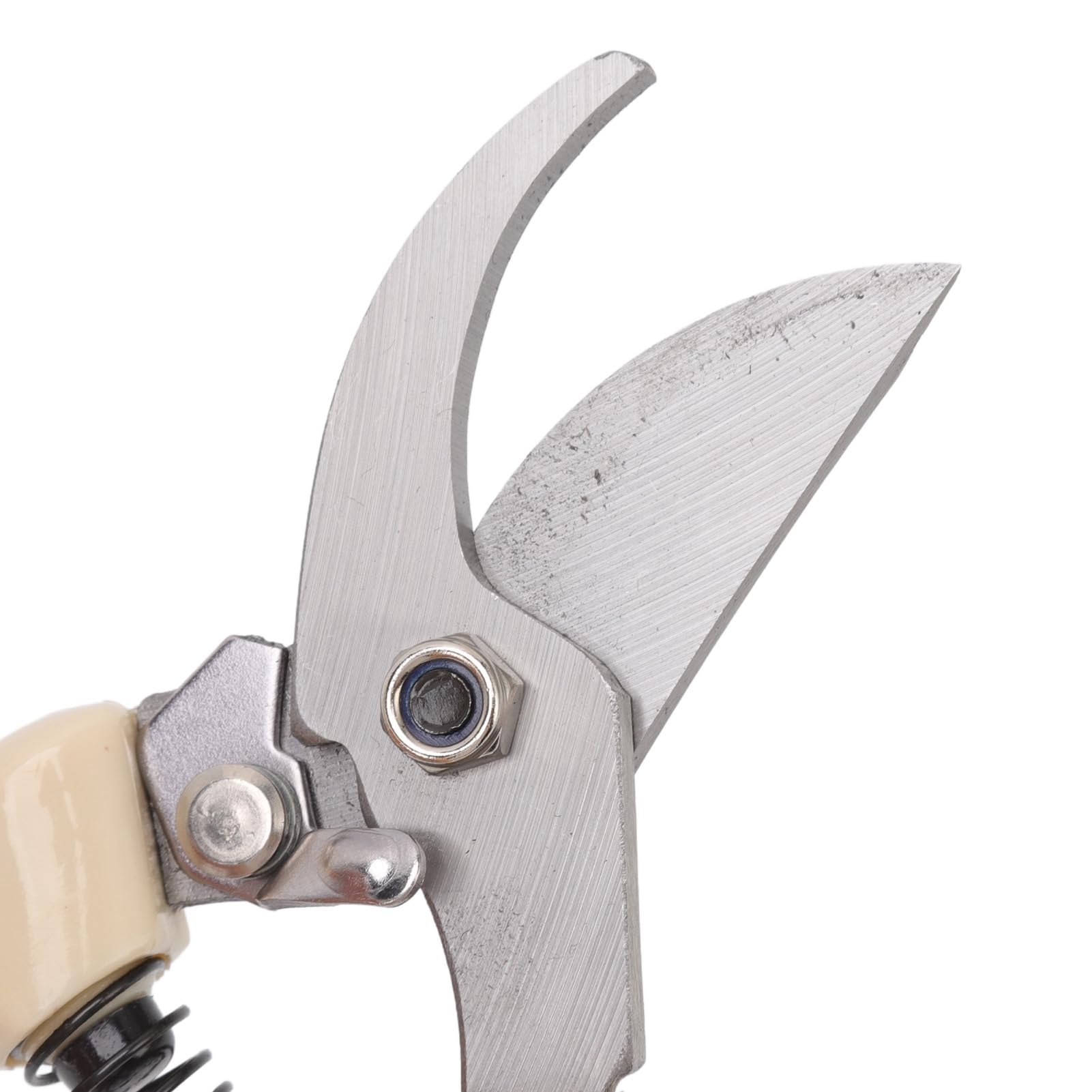 Kit di Attrezzi per Bonsai, 5 Pezzi/Set Forbici per Bonsai in Acciaio al Carbonio Rastrello Taglierina per Rami Cesoie da Potatura Pinze Attrezzi da Giardino