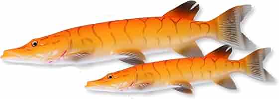 5 " Keitech Easy Shiner Black Luccio Spigola Zander Esca Morbida 12,5 - Foto 8