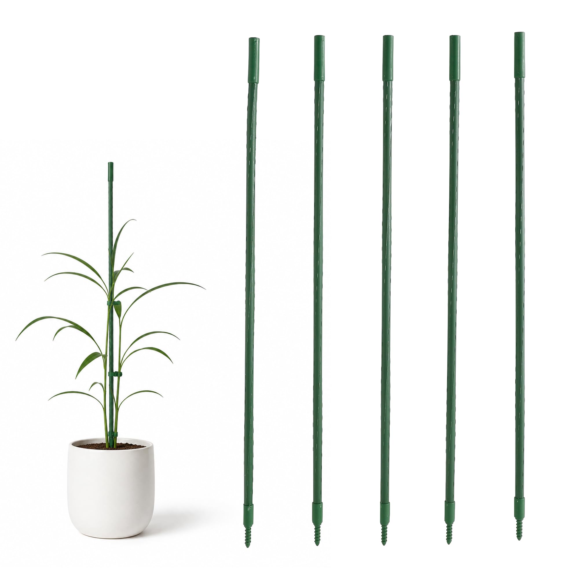 The Better Home Plant Support Sticks for Climbing Plants | Pack of 5 Garden Stakes | Green Plastic Canes for Indoor Outdoor Balcony Pot Plants Money Plant Creeper Flower Pot Gardening Accessories-image-19
