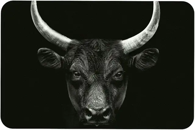 Paillasson Camarguais Personnalisé Motif Taureau Noir - Tapis Décoratif 40,6x61 cm