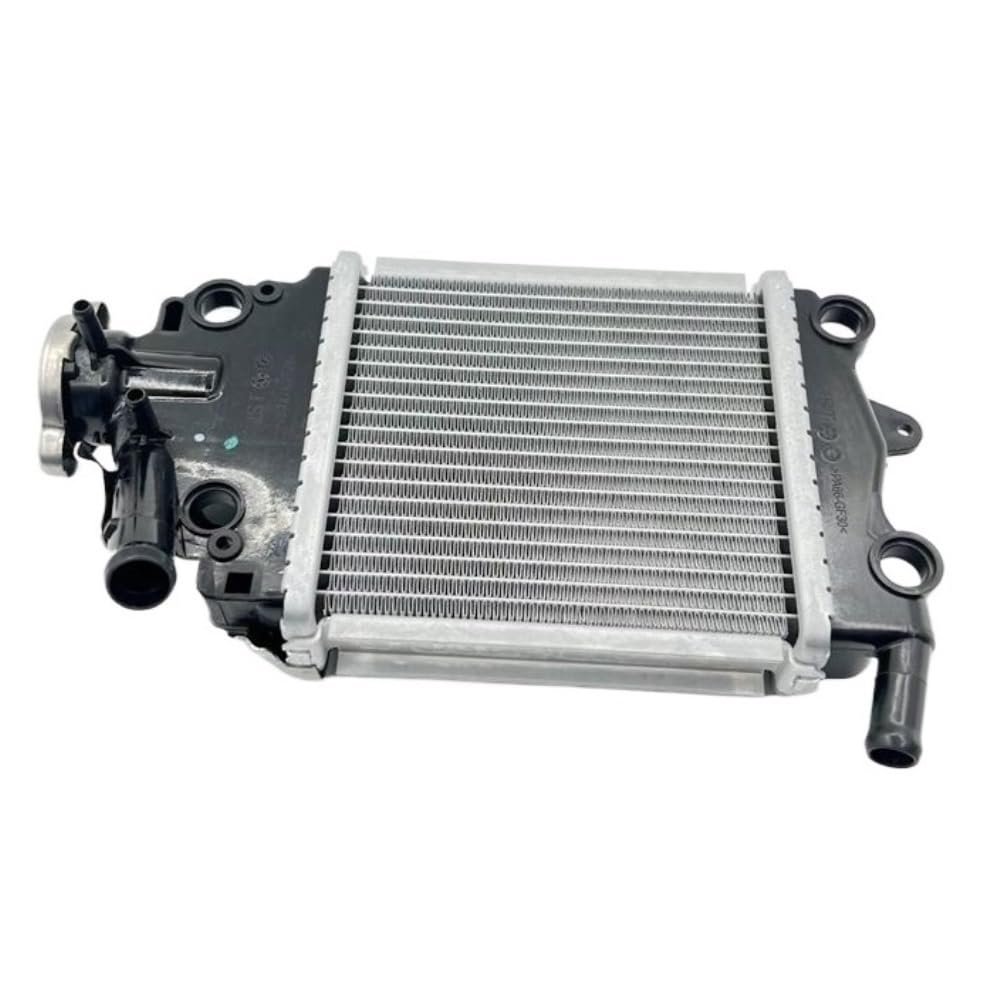 Accessori moto adatti for GW250-A Chi ADV150T-36 Acqua DY150T-30 VRF39 Raffreddamento del radiatore