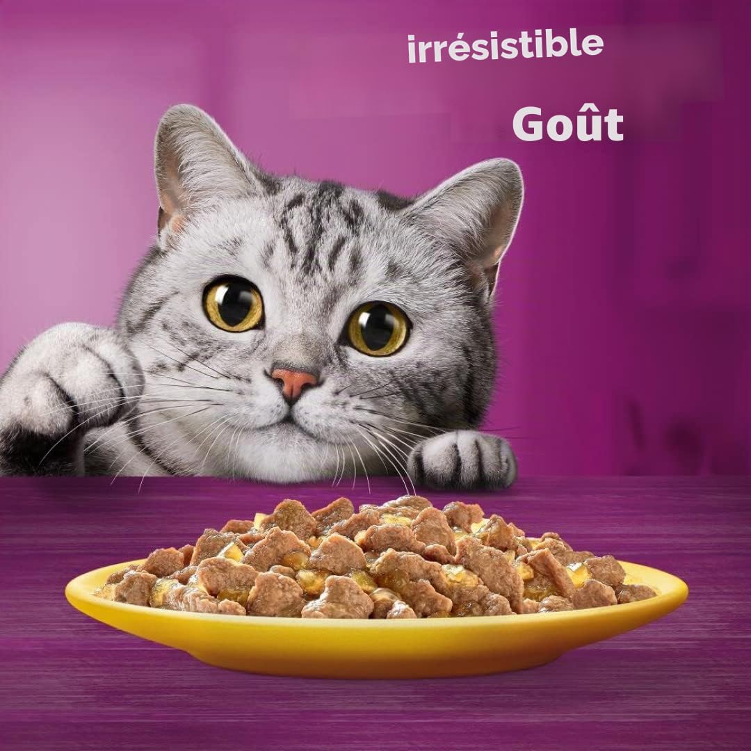Whiskas 1 + Nourriture pour Chat au Choix en gelée, 12 x 85 g (4 Paquets) – Nourriture Humide de qualité supérieure pour Chats Adultes en 48 sachets portions
